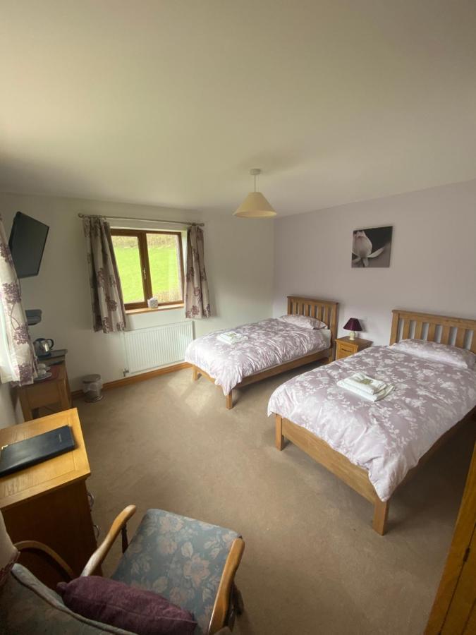 Bed and Breakfast Laurel Bank à Abbey-Cwmhir Extérieur photo