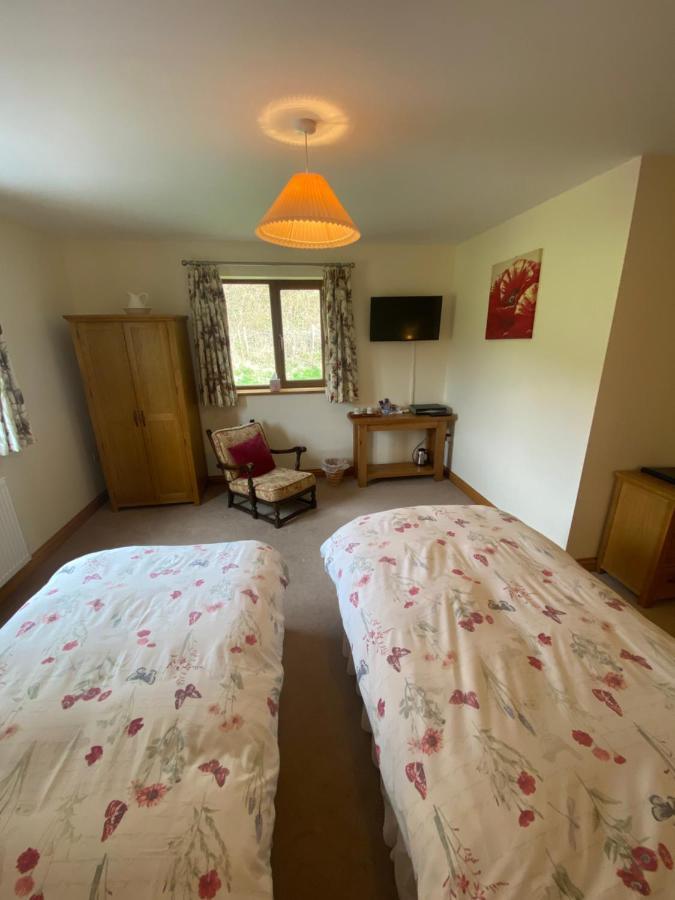 Bed and Breakfast Laurel Bank à Abbey-Cwmhir Extérieur photo